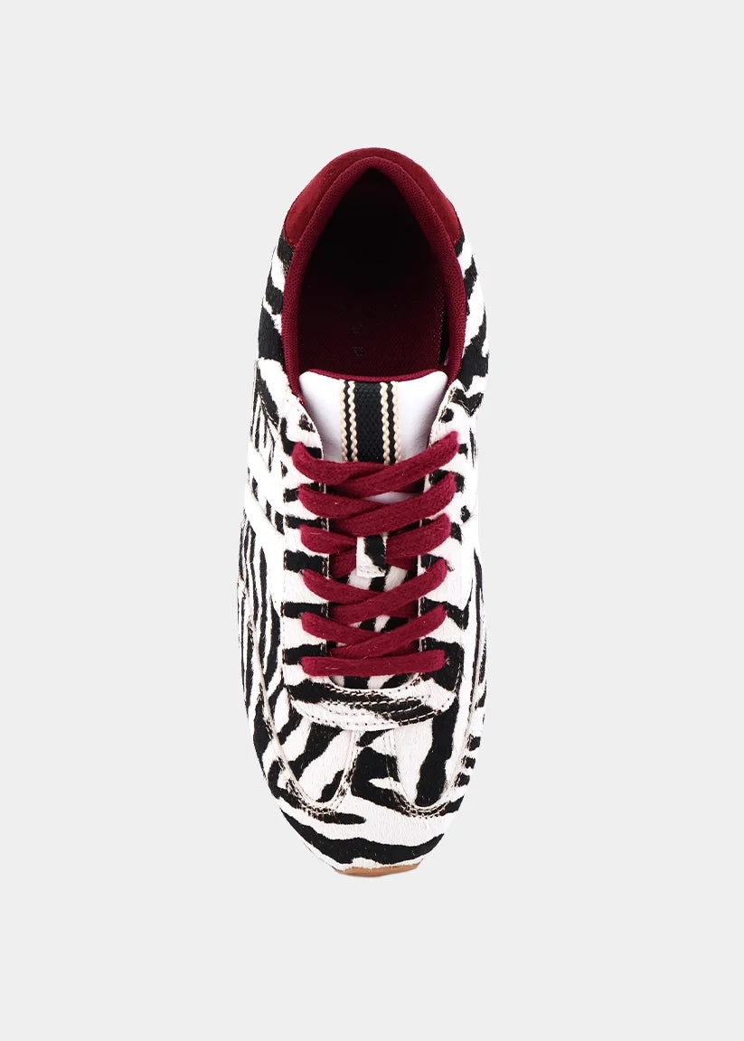 Sarah Zebra