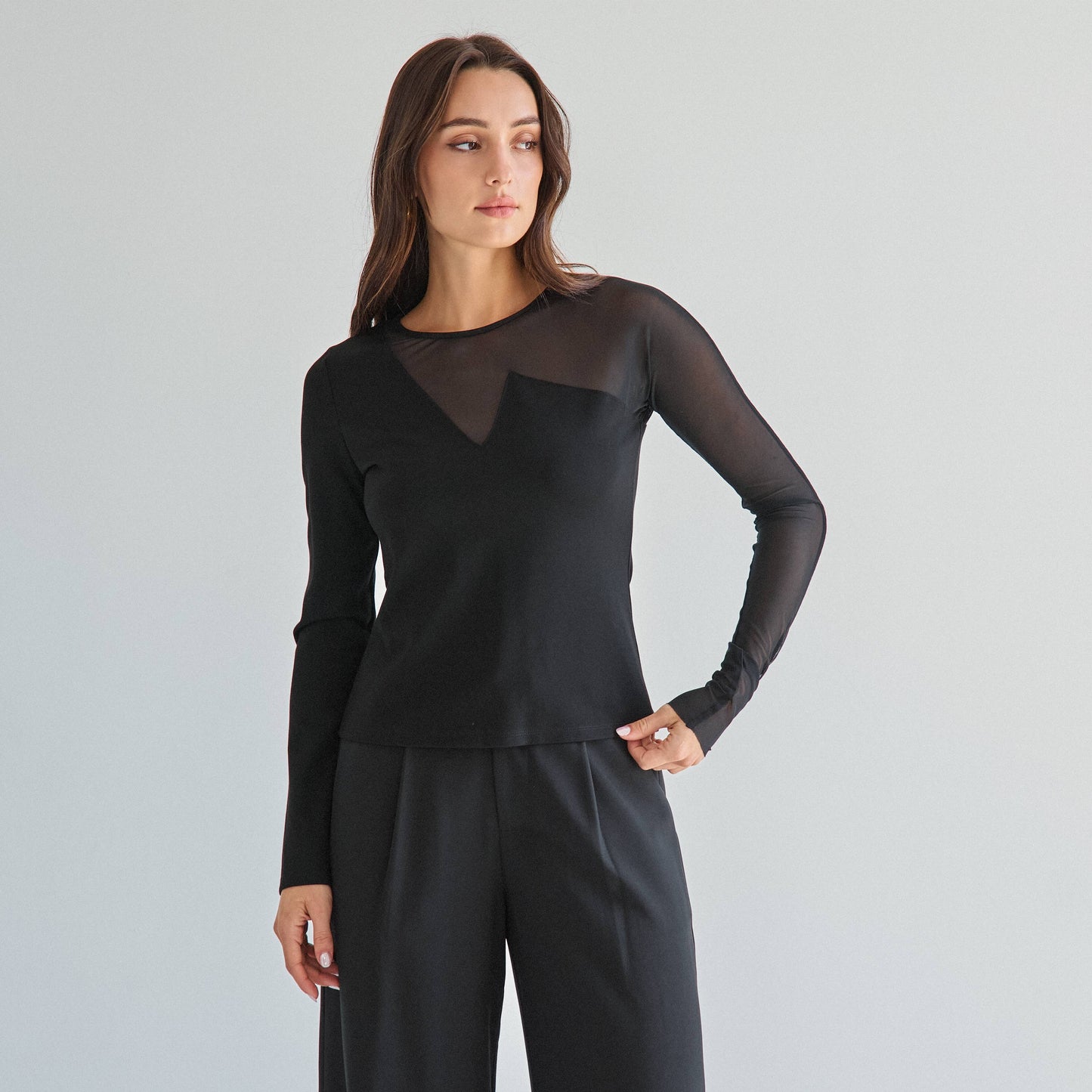 Sheer long sleeve top