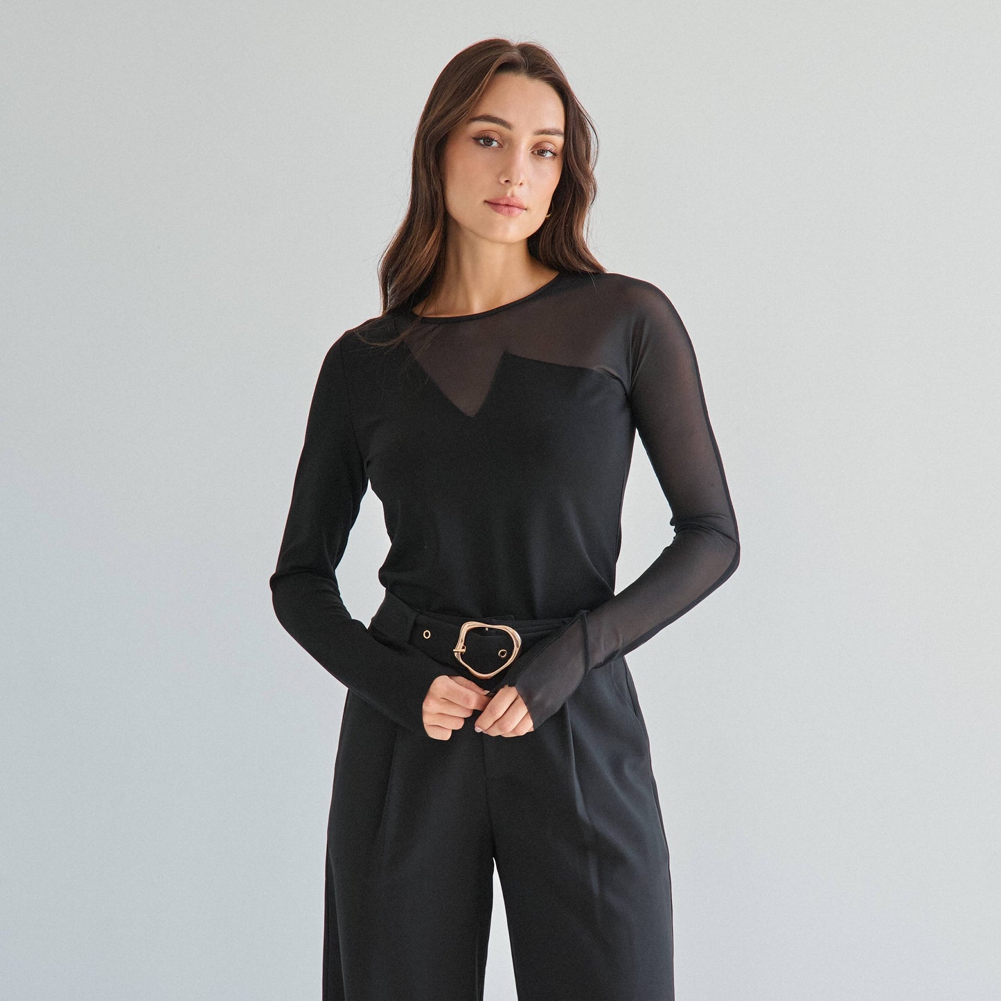 Sheer long sleeve top