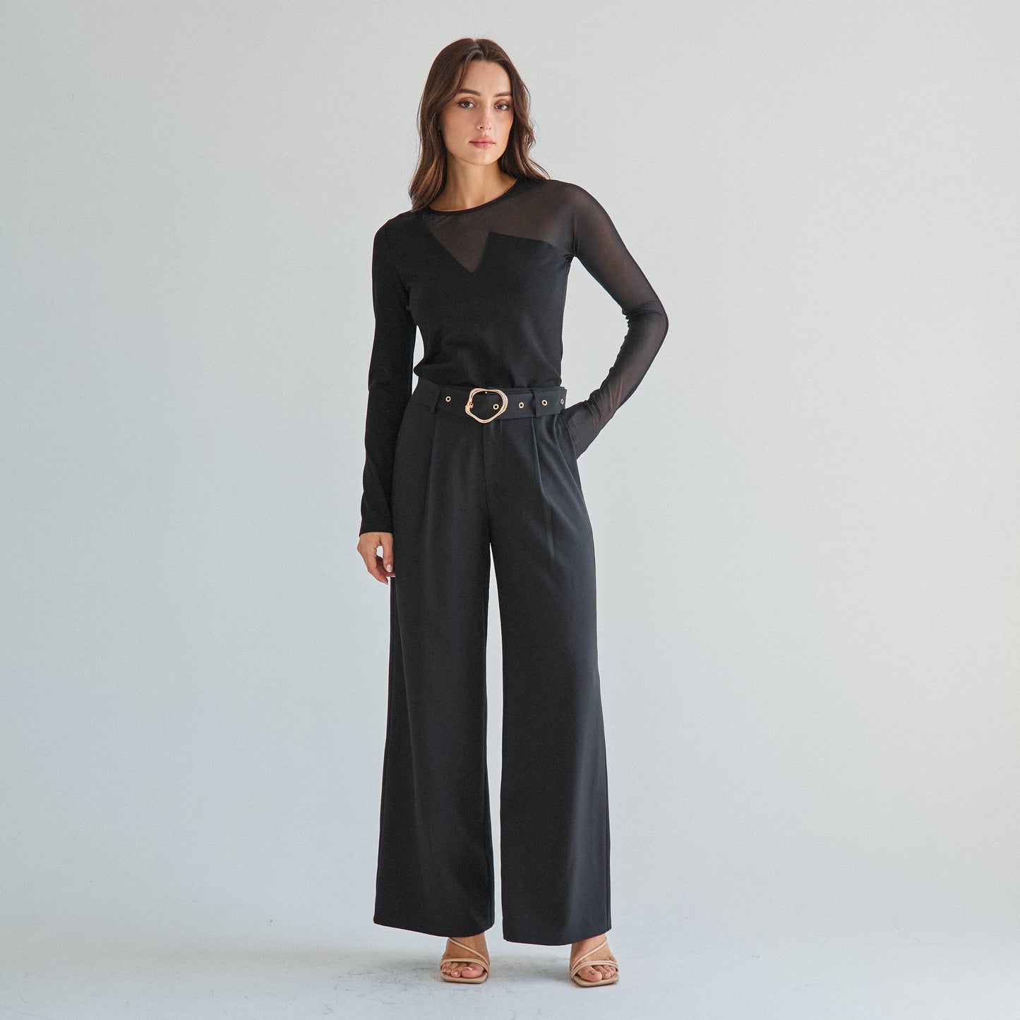 Sheer long sleeve top