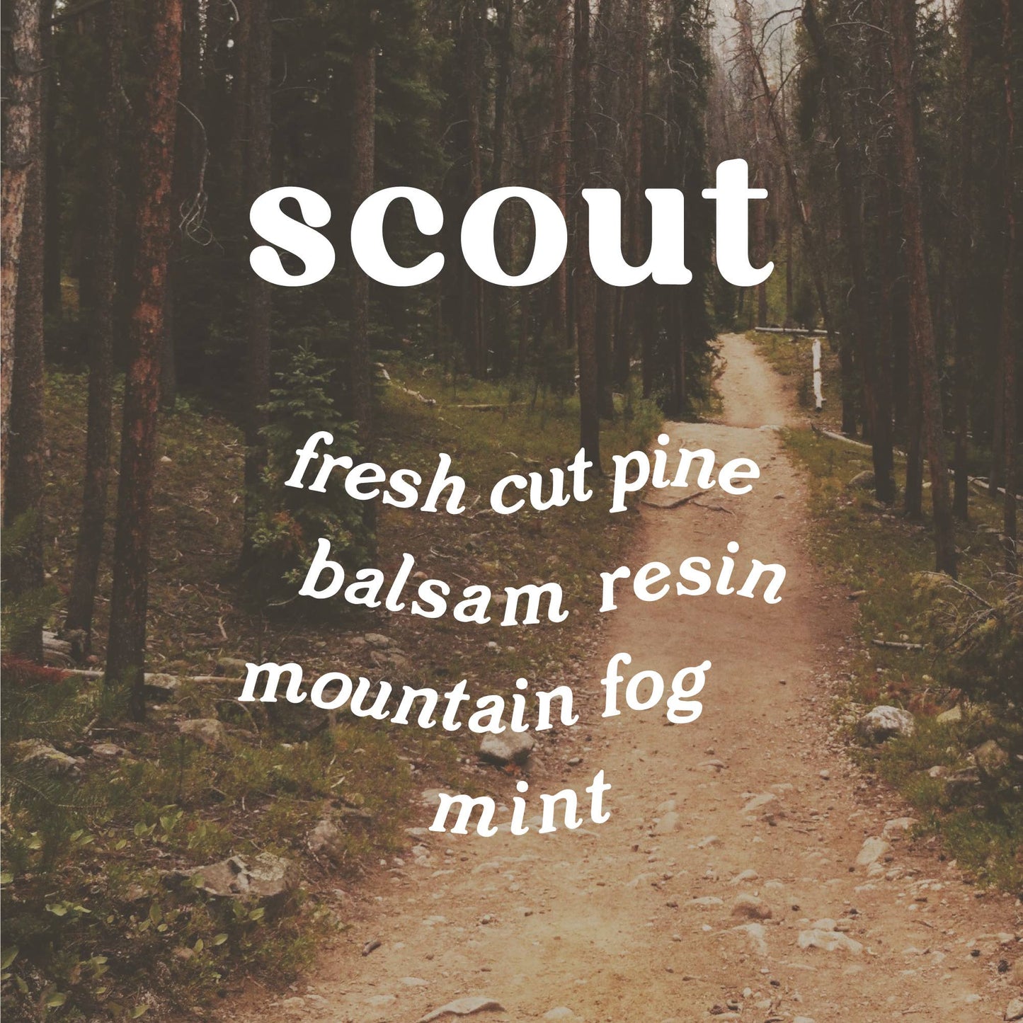 Scout 9 oz. Hue Candle (White Pine)