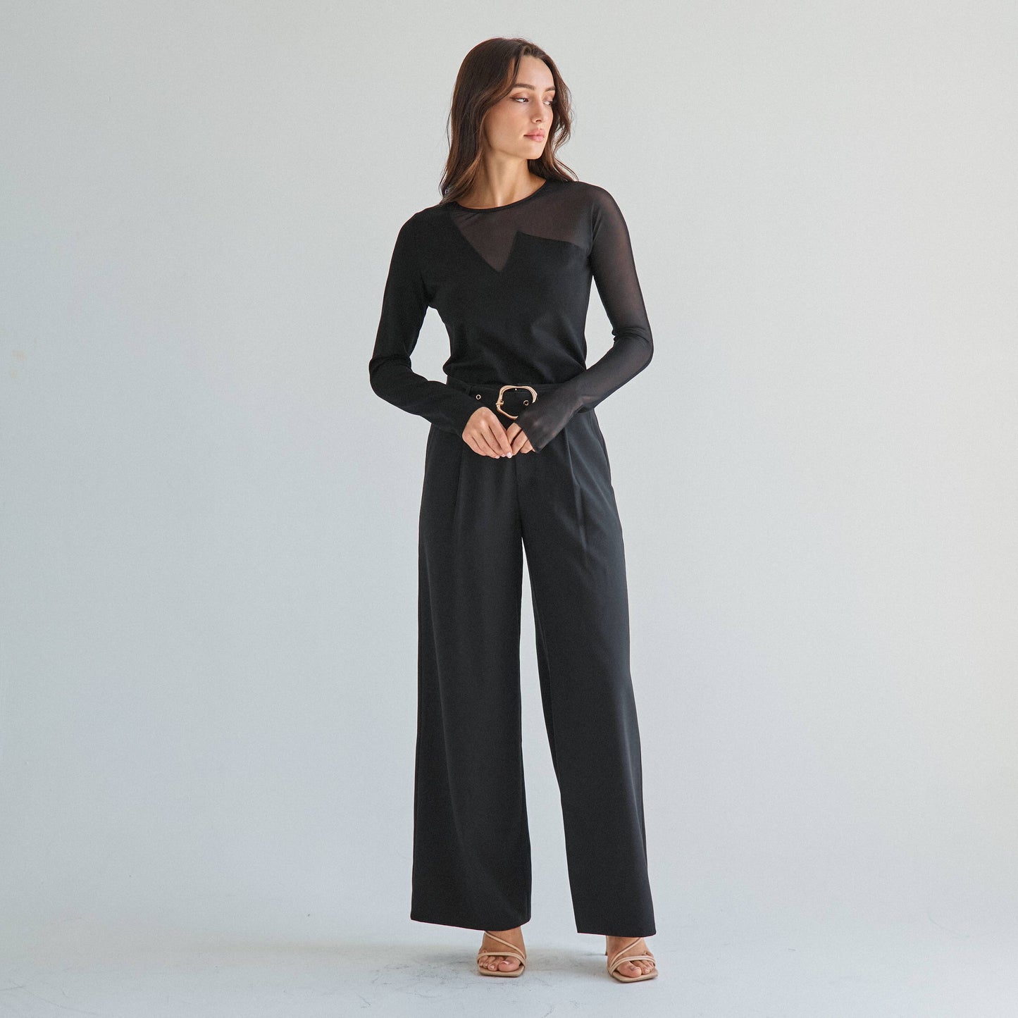 Sheer long sleeve top
