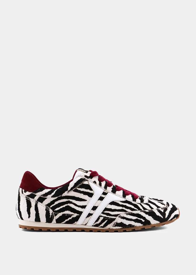 Sarah Zebra