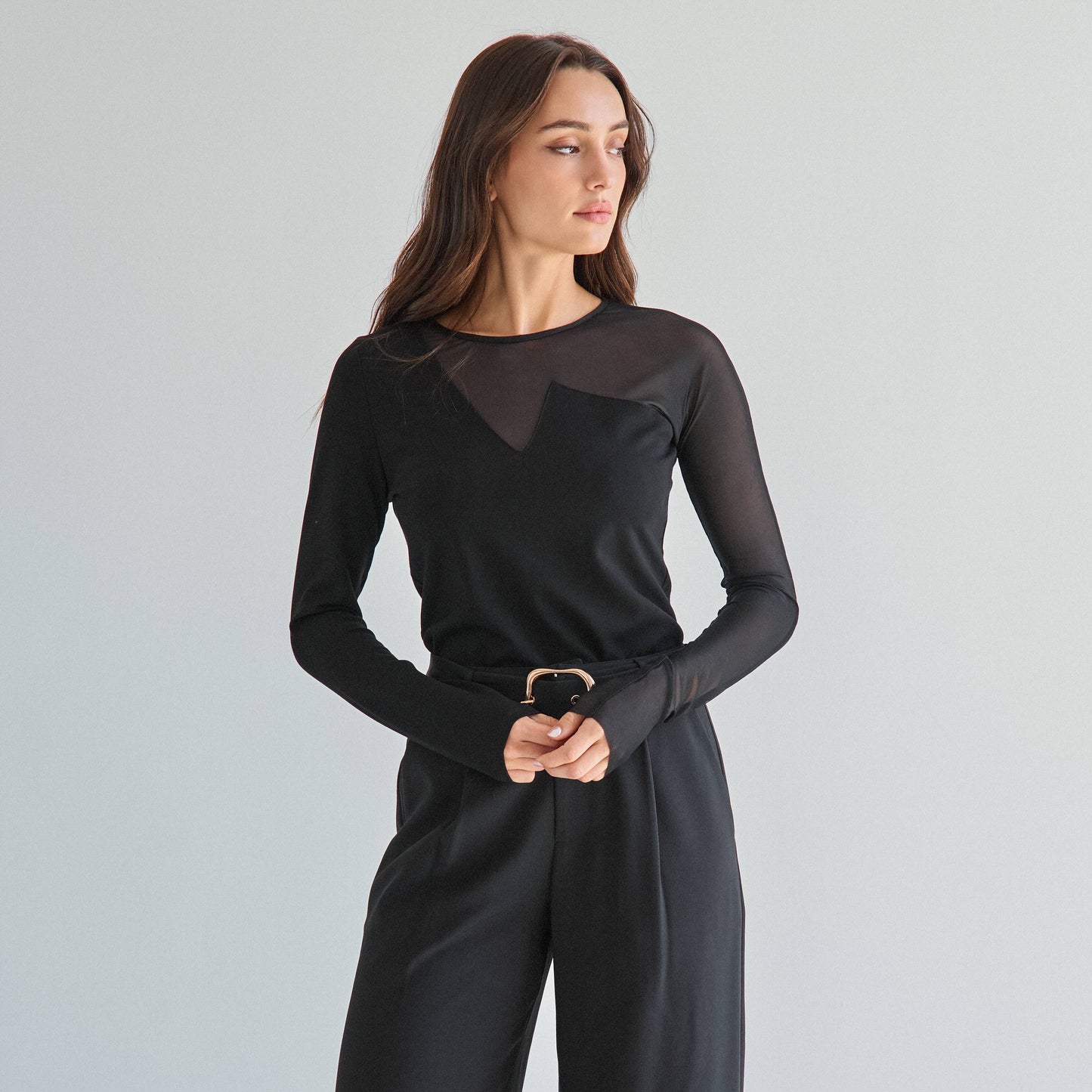 Sheer long sleeve top