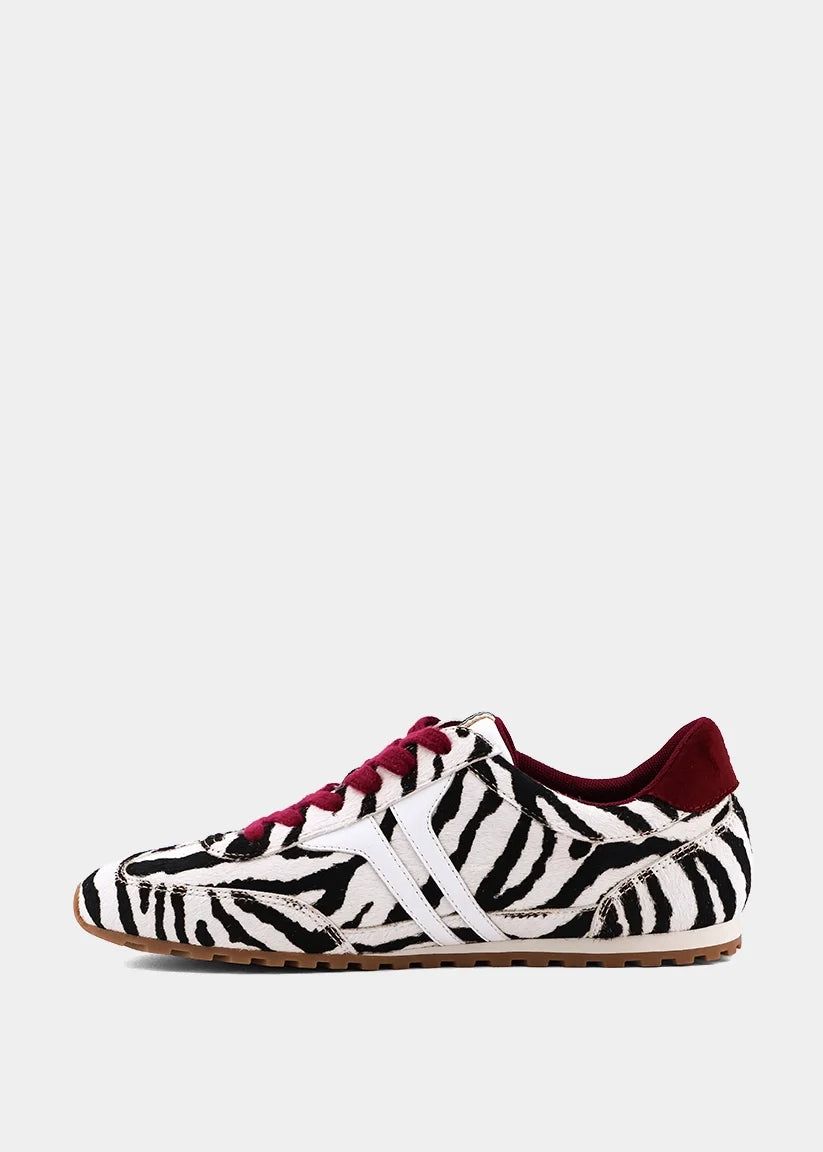 Sarah Zebra