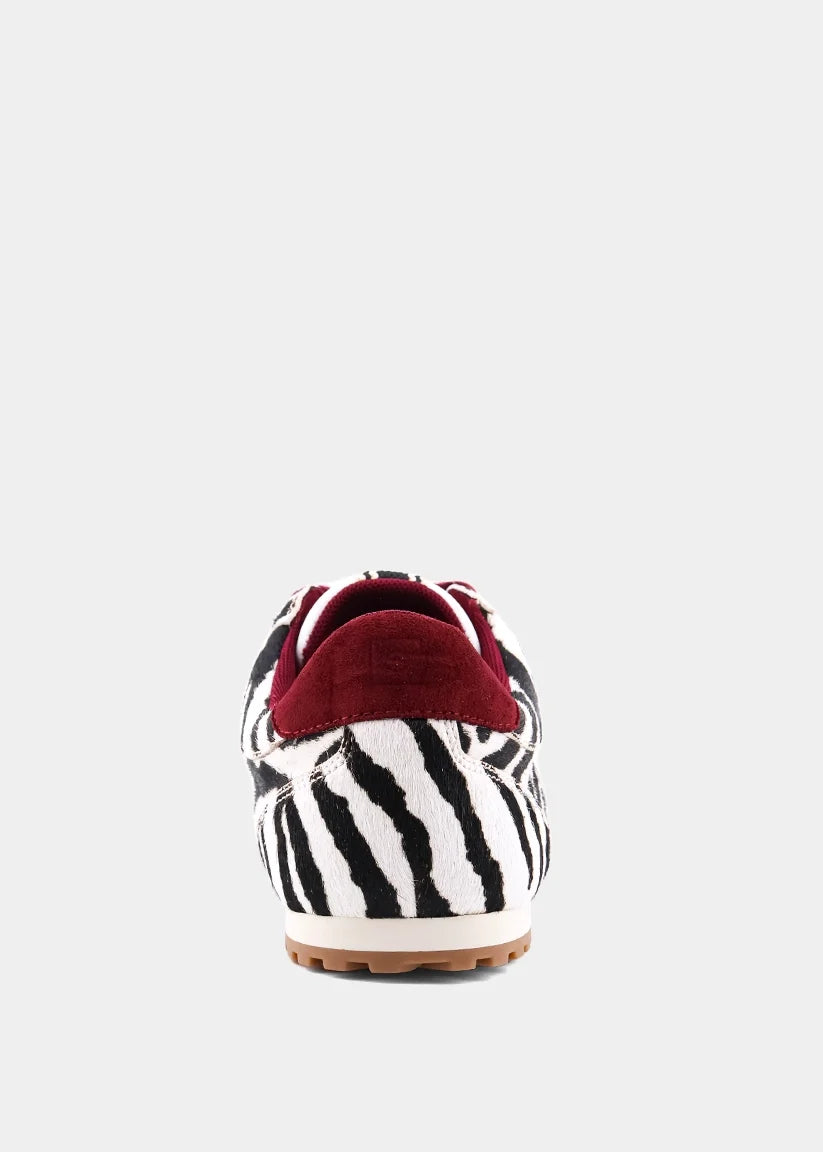Sarah Zebra