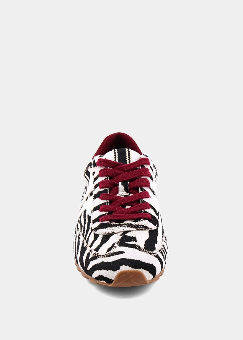 Sarah Zebra