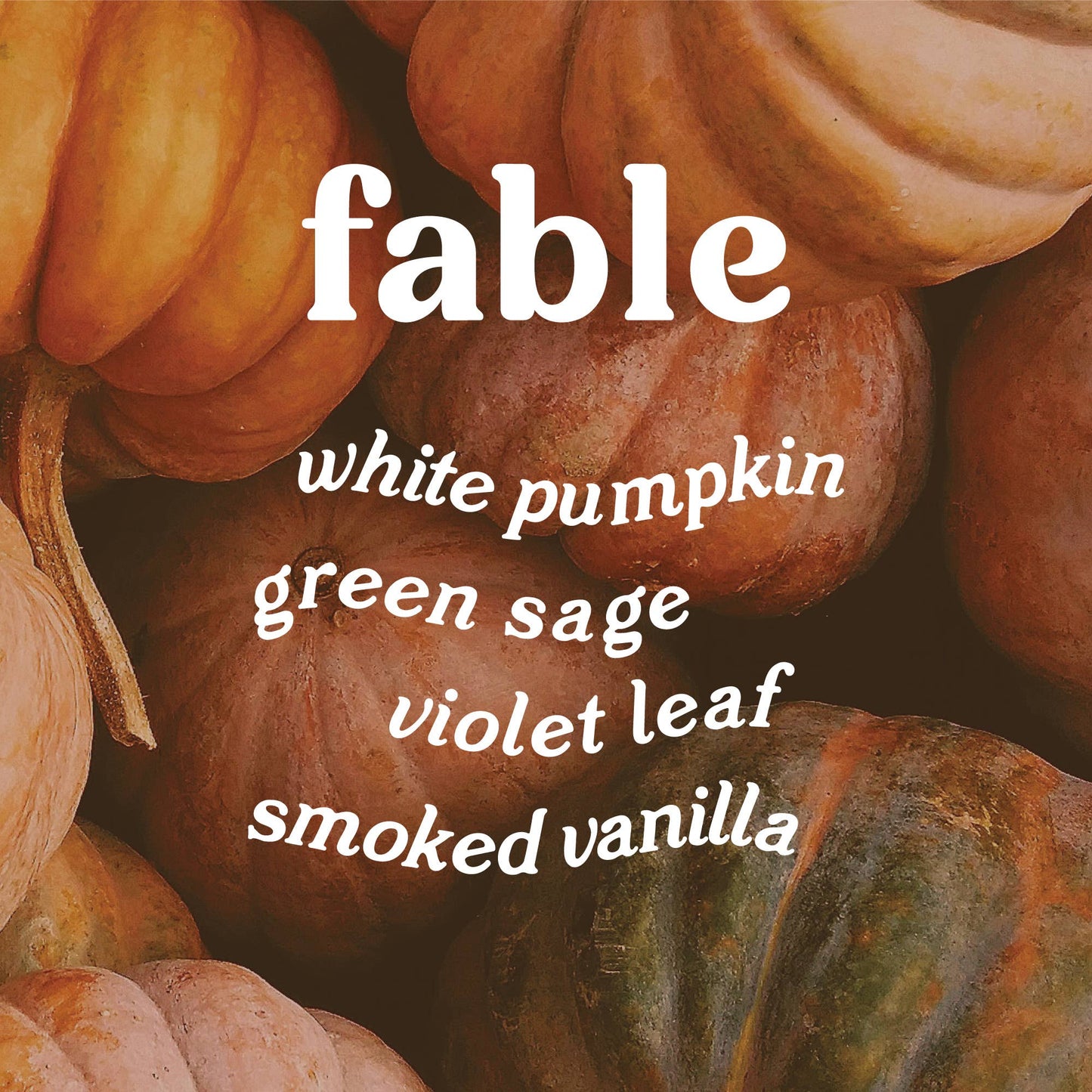 Fable 9 oz. Hue Candle (Pumpkin Sage)