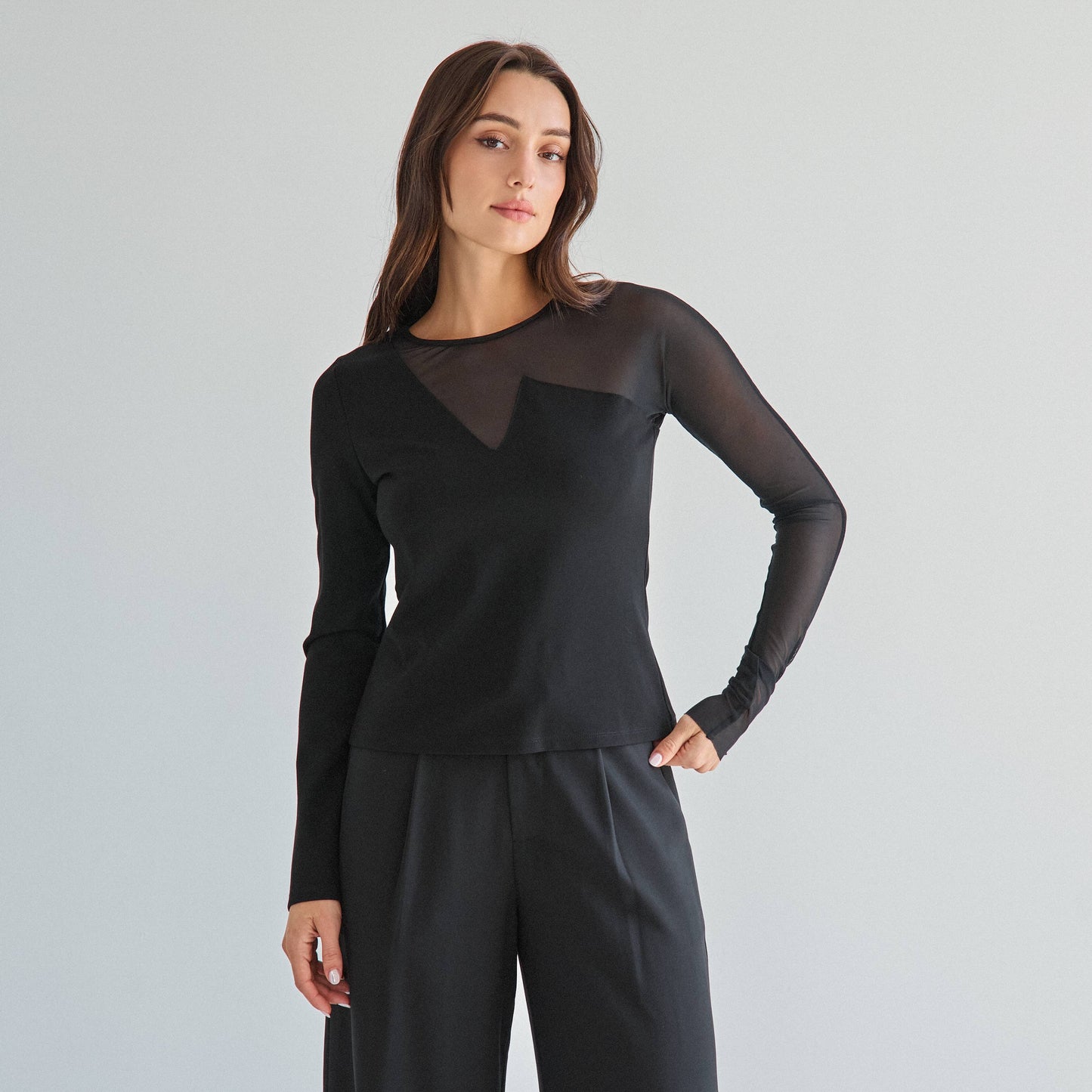 Sheer long sleeve top