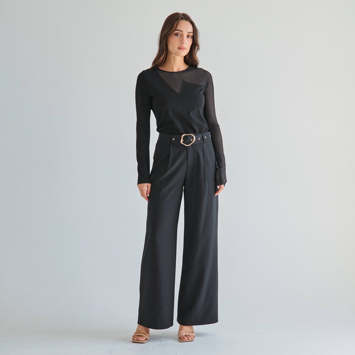 Sheer long sleeve top